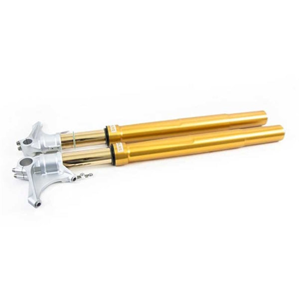 Öhlins FGRT-227 USD Front Forks for BMW R nineT 2018+