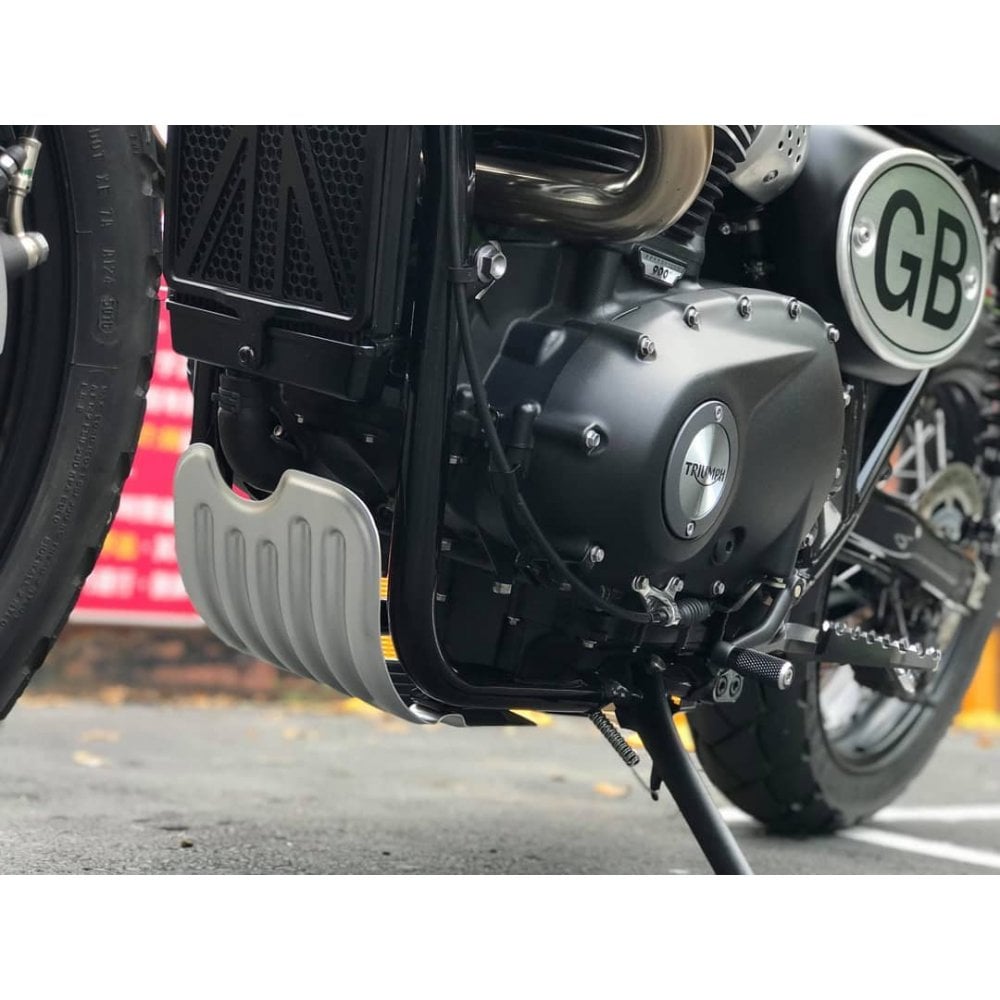 Motone Defender Sump Guard