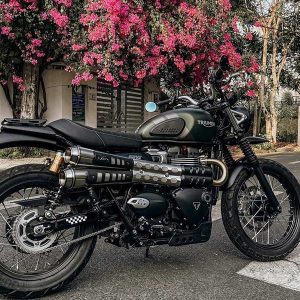 Pô Zard Street Scrambler Inox Black Heatshield