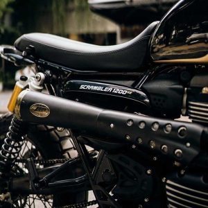 Pô Zard Street Scrambler Full System Tiger 70 Black Coating + Gold End Cap