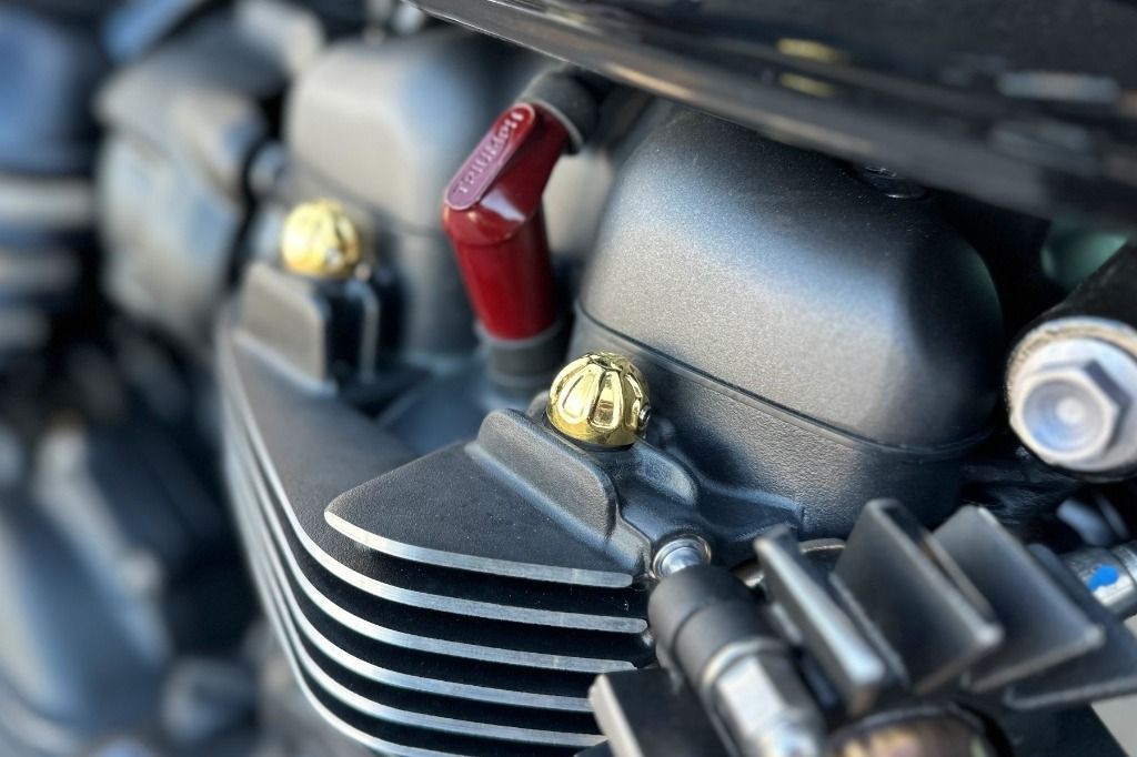 Nắp Chụp Đầu Bulong Xi-Lanh Motone - Solid Brass - MMU070 - Image 7