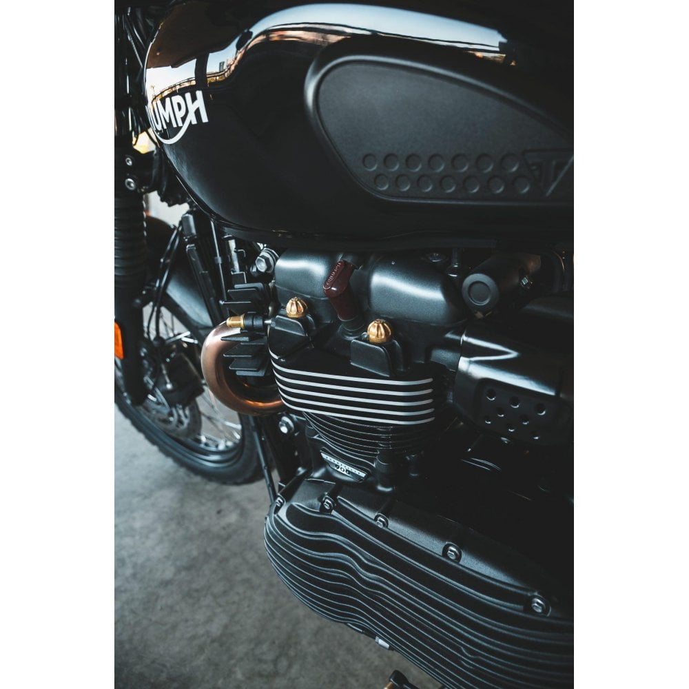 Nắp Chụp Đầu Bulong Xi-Lanh Motone - Solid Brass - MMU070 - Image 9